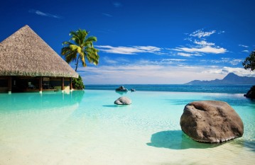 bar-in-paradise